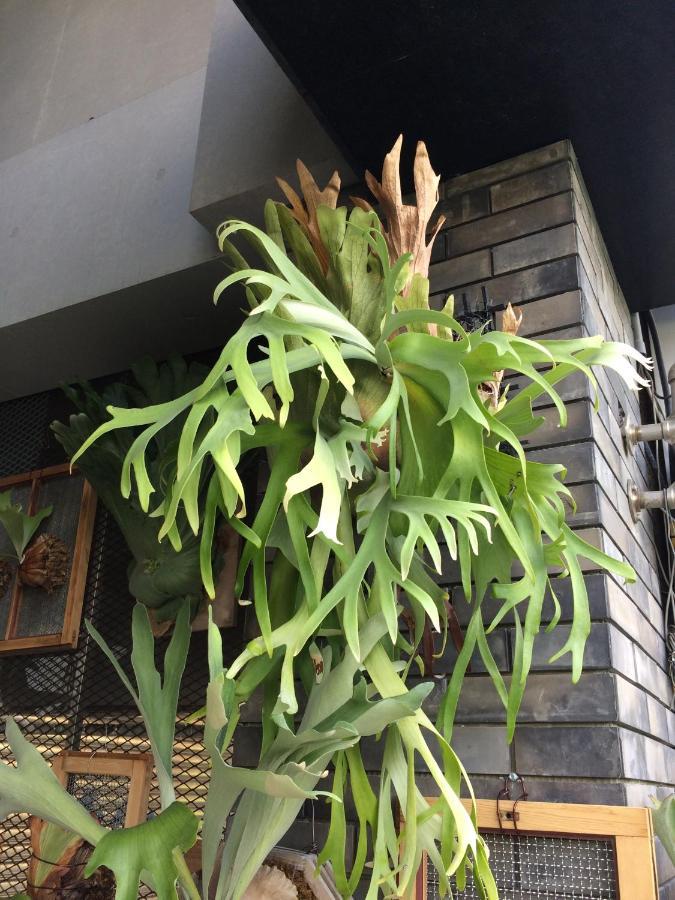 โรงแรมปาโปอา เกาสง ภายนอก รูปภาพ